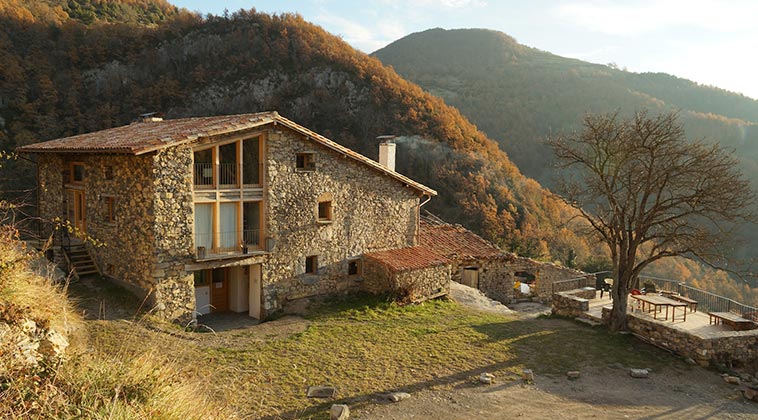 lecliptica elnegre