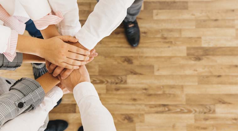 lecliptica guanyatemps